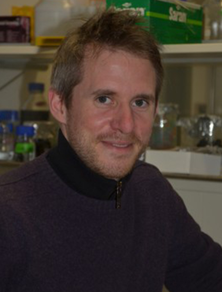 sfb_0017_C01 Postdoc Matthias Broser v2