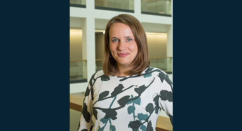 Stress during pregancy and disease vulnerability, child health and development