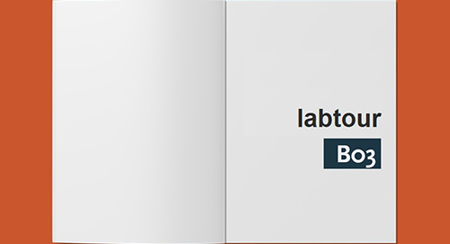 Flöel Lab (B03 Greifswald)