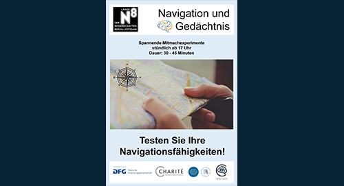 Navigation and memory