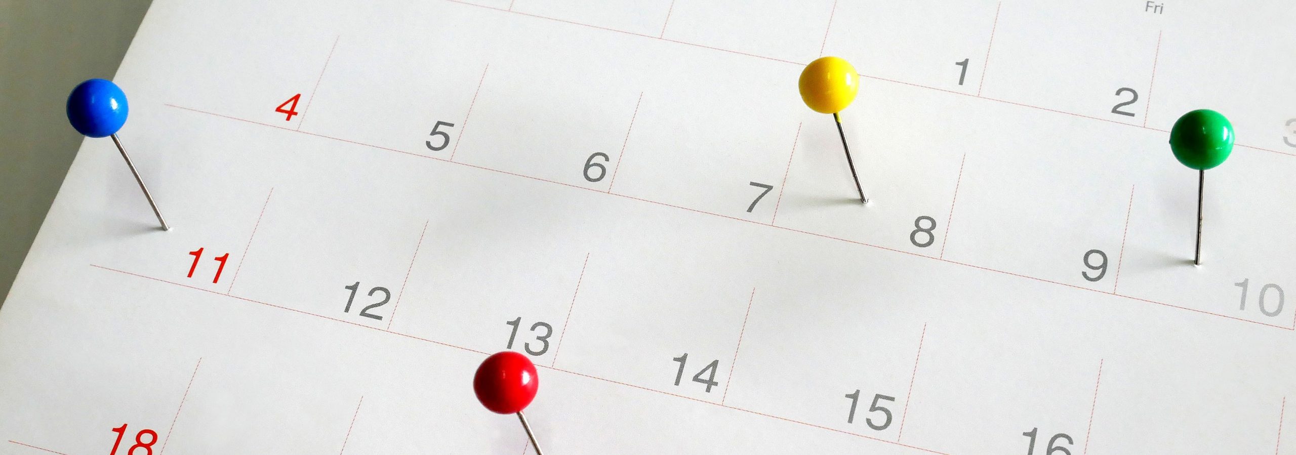 https://www.sfb1315.de/wp-content/uploads/2021/02/header-scaled.jpg