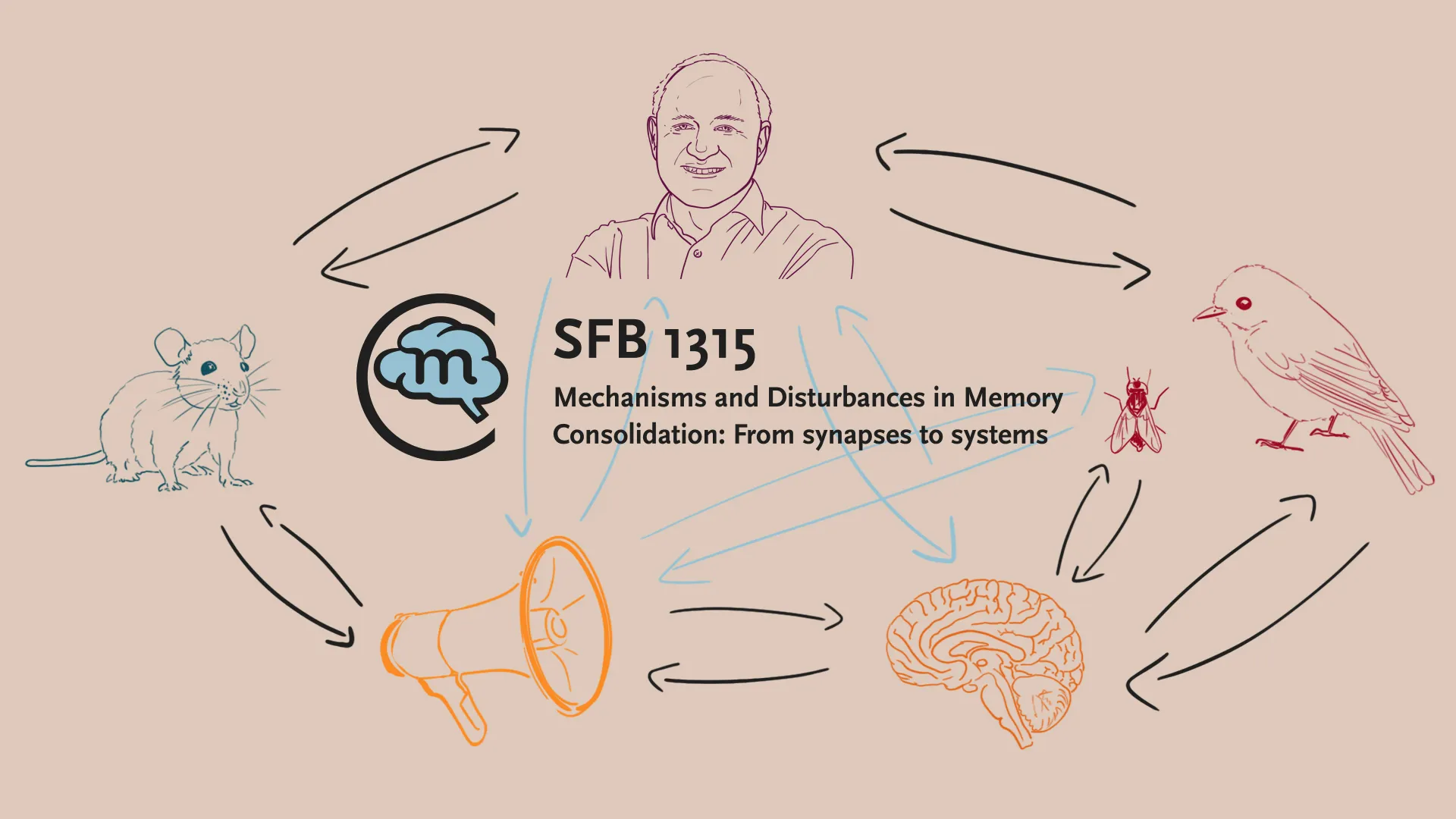 https://www.sfb1315.de/wp-content/uploads/2025/10/2nd-dr-copy.webp