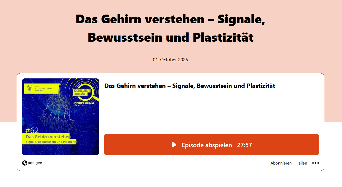 Das Gehirn verstehen – Signale, Bewusstsein und Plastizität