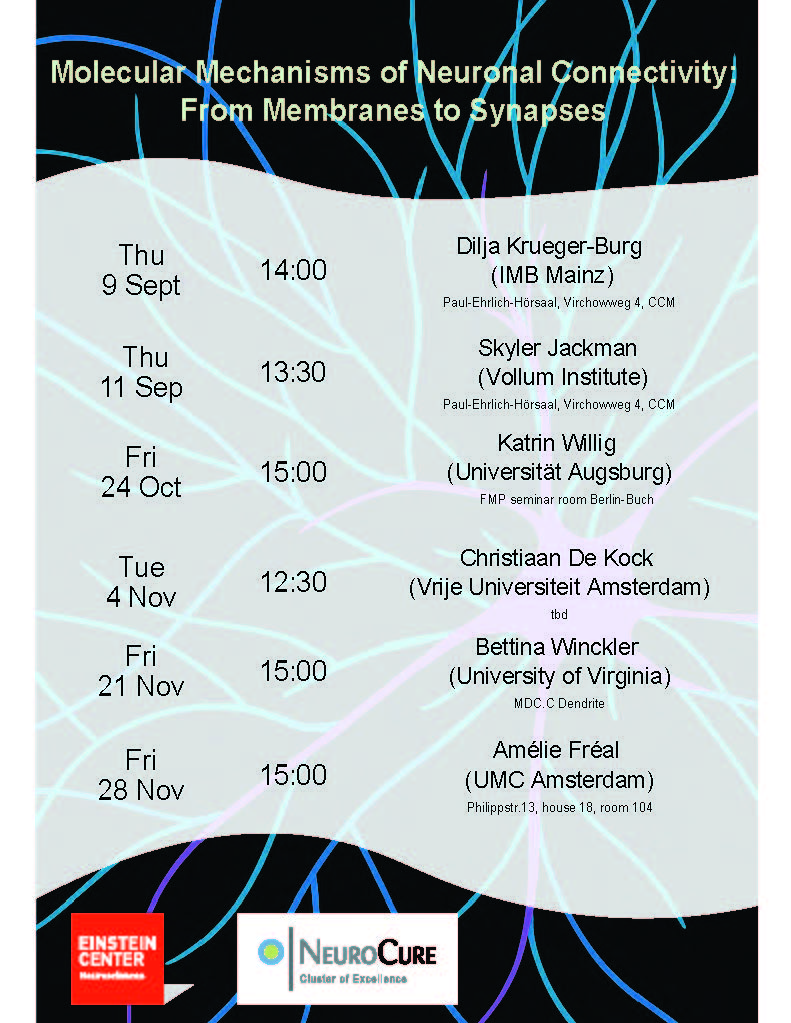 ECN Student-led Speaker Series: Molecular Mechanisms of Neuronal Connectivity: From Membranes to Synapses