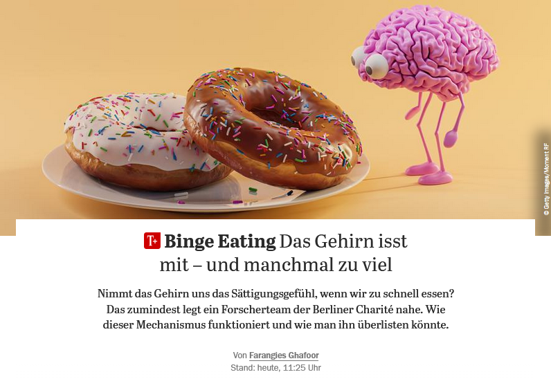 T+ Wissen - Feeding-induced olfactory cortex suppression reduces satiation (Lo et al, Neuron 2025) featured