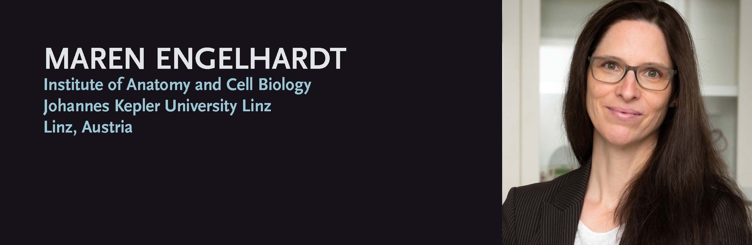 Dendritic axon origins in cortical neurons - from mouse to man